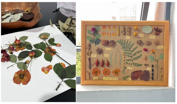 自然印記&mdash;染夏工坊課程招生！