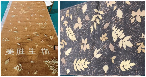 自然印記&mdash;染夏工坊課程招生！