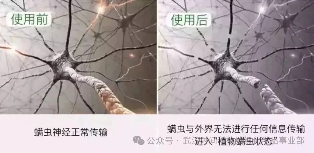  防螨！已成為健康的&ldquo;新剛需&rdquo;--武漢時間科技推出紡織品防螨整理劑喜化&reg;植螨零